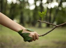 Handschlag mit Baum, Copyright: fotolia.com/nikilitov 